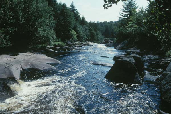 Uploaded Image: /uploads/images/South Branch Grasse River2.jpg Uploaded Image: /uploads/images/South Branch Grasse River2.jpg